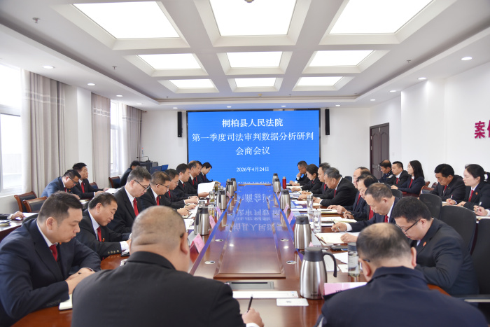 桐柏县法院召开第一季度司法审判数据分析研判会商会议